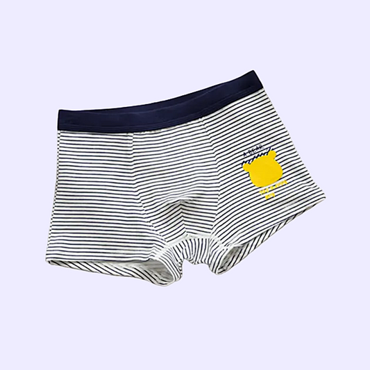 ROPA INTERIOR PARA NIÑO